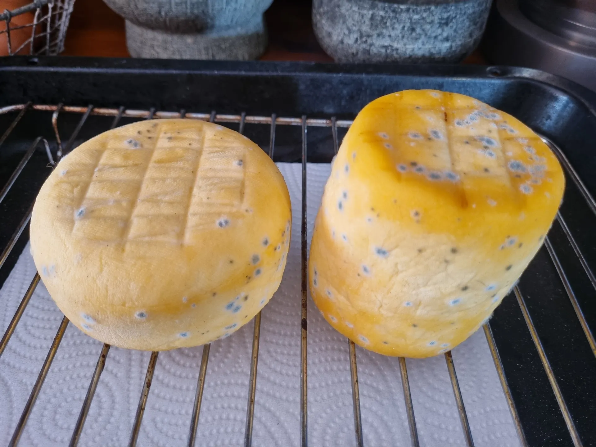 Mouldy cheese