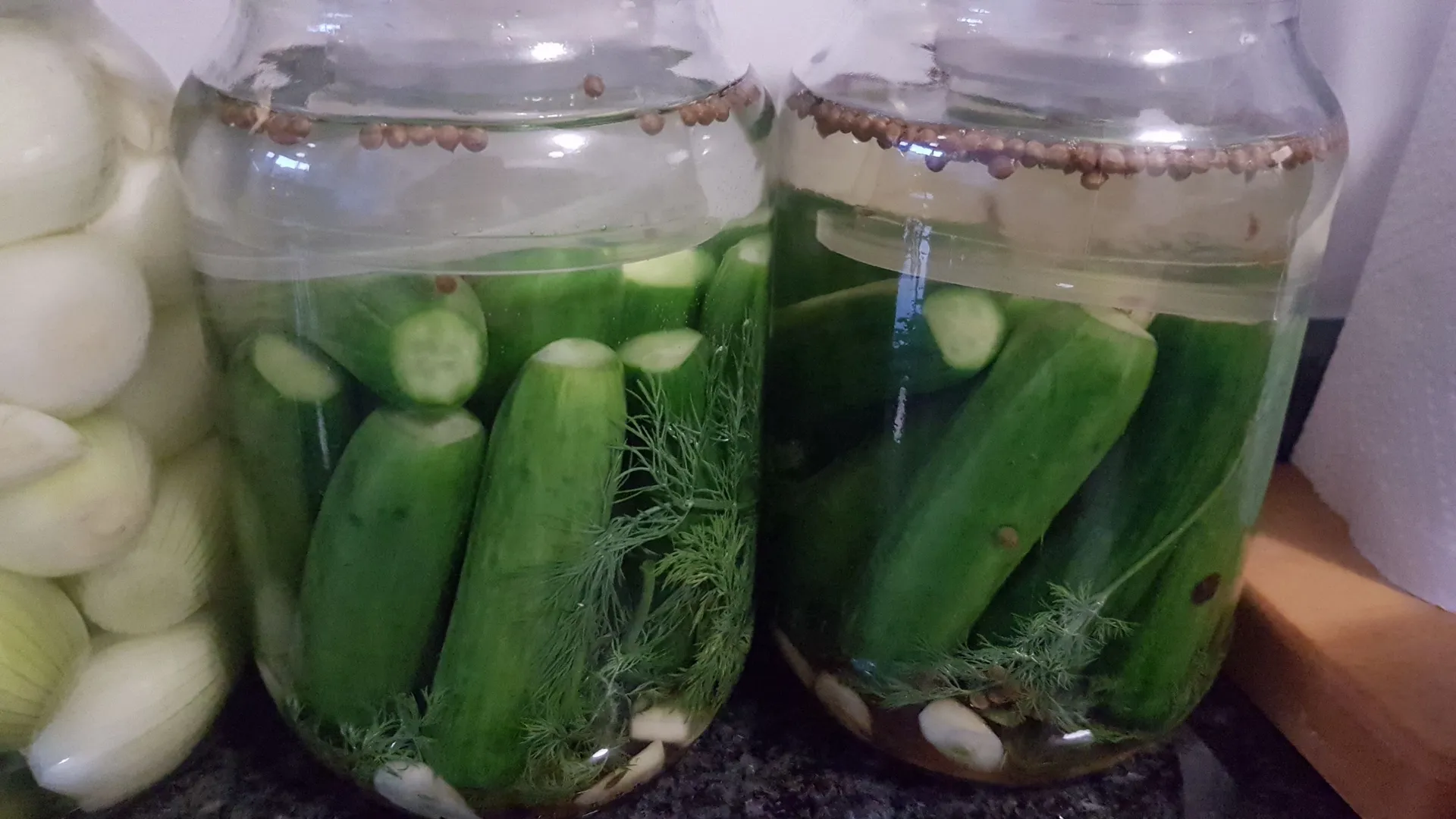 Fermenting experiments