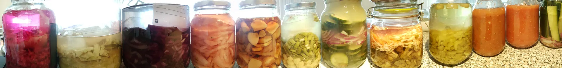 Fermenting banner
